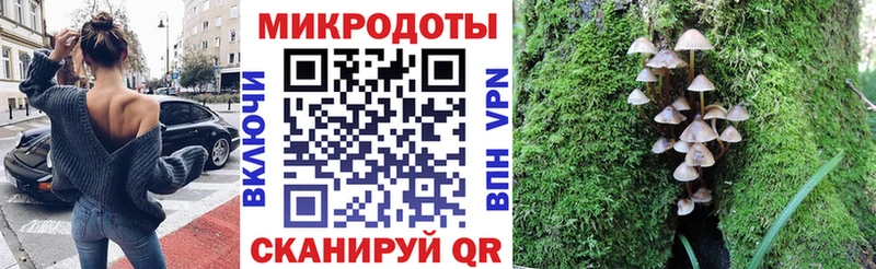 закладки  Кудрово  кракен зеркало  Псилоцибиновые грибы мицелий 